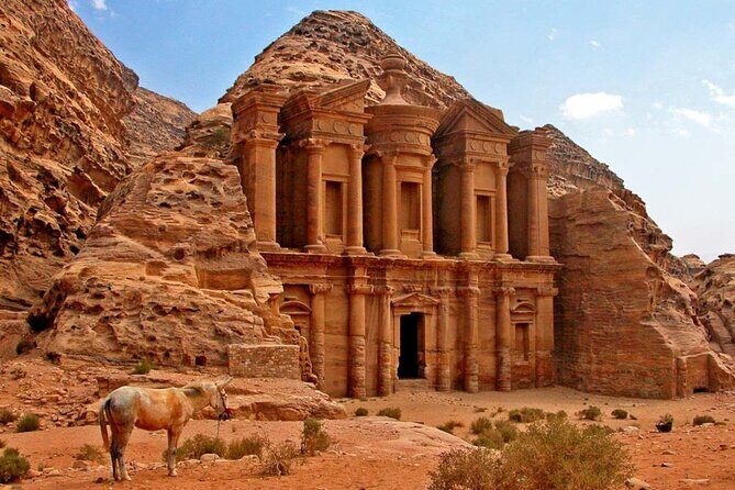 Private Petra Sightseeing day tour from Aqaba port - Key Points