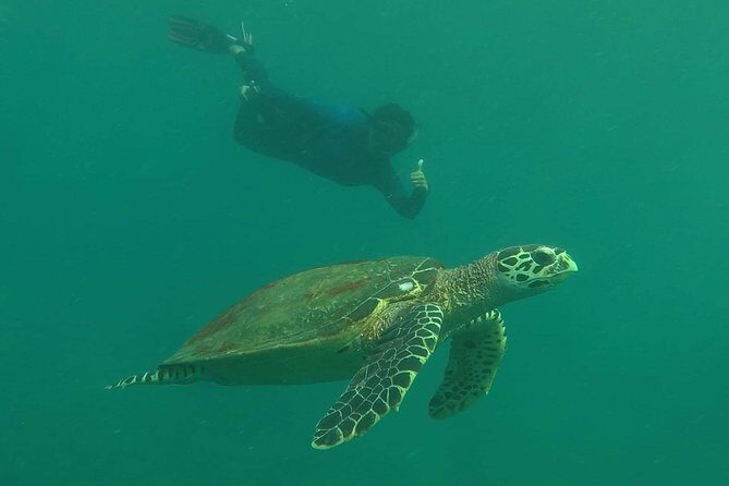 Private Phi Phi & 4 Islands Sunset Cruise by Speedboat - from Krabi - The Experience — What Youll Feel and See