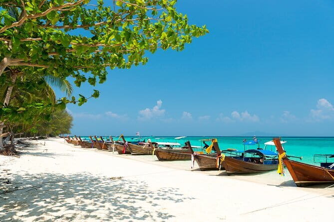 Private Phi Phi Islands Adventure by Speed Boat - Who Is This Tour Best For?