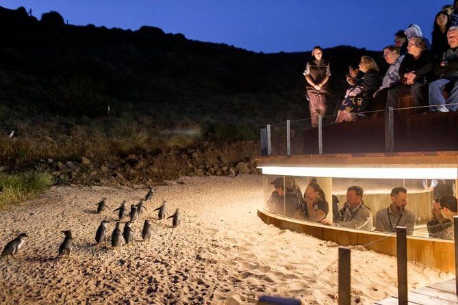 Private Phillip Island Day Trip from Melbourne Including Penguin Parade Premium Viewing - The Comfort and Convenience of a Private Tour