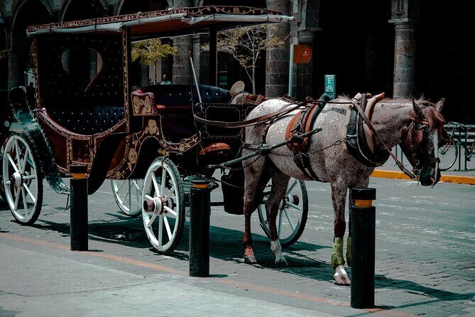Private Photo Session in the City of Guadalajara - Exploring the Itinerary: What’s in Store