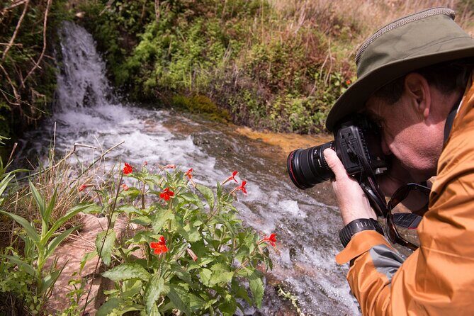 Private Photo Workshop and Sightseeing in Wasatch Mountains - Discover the Beauty of the Wasatch Mountains Through Photography