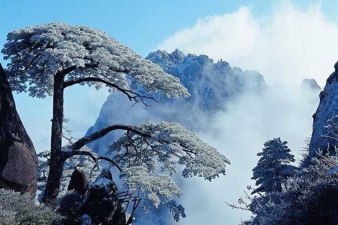 Private Photography Day Tour of Huangshan Yellow Mountain - The Highlights of the Itinerary