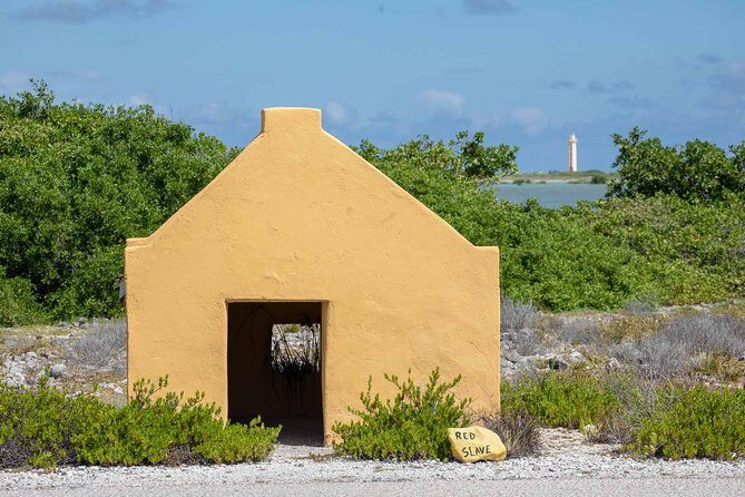 Private Photography Tour - What Makes This Tour Stand Out?