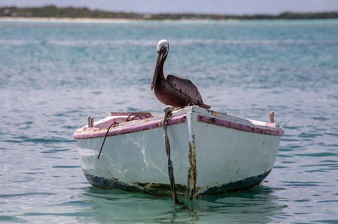 Private Photography Tour - What Travelers Are Saying