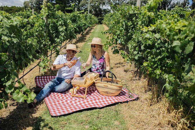 Private Picnic Lunch Experience in Orange with Wine - Who This Tour Is Best For