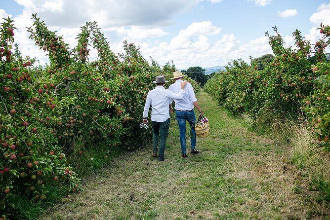 Private Picnic Lunch Experience in Orange with Wine - Frequently Asked Questions