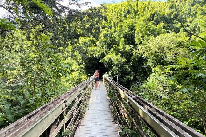 Private Pipiwai Trail Maui Open-Air Jeep Tour - Detailed Breakdown of the Itinerary
