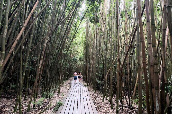 Private Pipiwai Trail Maui Open-Air Jeep Tour - Who Will Enjoy This Tour?