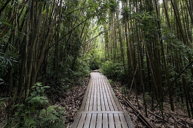 Private Pipiwai Trail Maui Open-Air Jeep Tour - The Sum Up: Is This Tour Worth It?