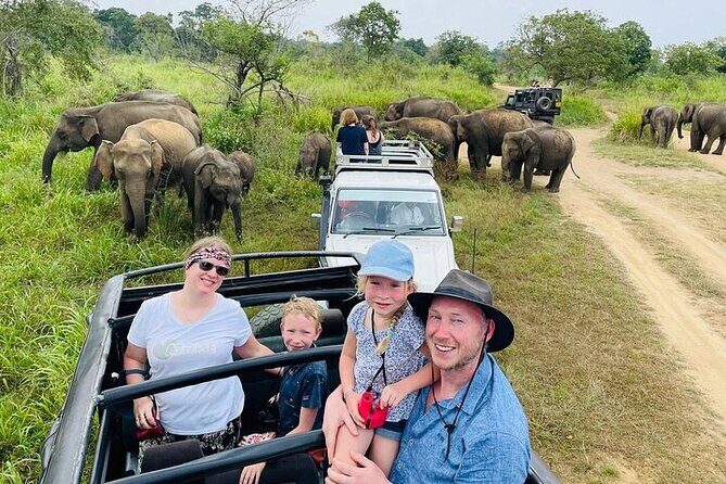 Private Polonnaruwa Ruins & Minneriya Safari Tour from Sigiriya - Key Points