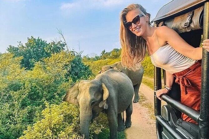 Private Polonnaruwa Ruins & Minneriya Safari Tour from Sigiriya - The Sum Up