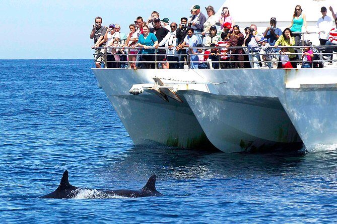 Private Port Stephens Day Trip from Sydney incl Dolphin Cruise - Gan Gan Lookout: A Panoramic Viewpoint