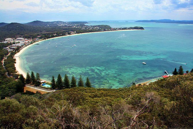 Private Port Stephens Day Trip from Sydney incl Dolphin Cruise - Nelson Bay: Dolphin Spotting and Harbour Cruise