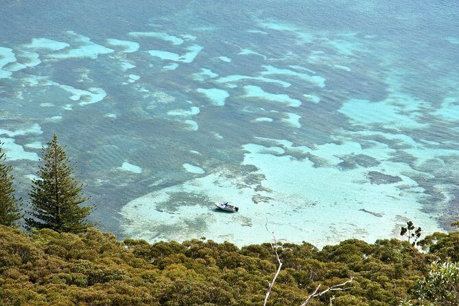 Private Port Stephens Day Trip from Sydney incl Dolphin Cruise - Optional Activities and Flexibility