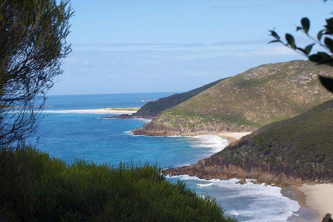 Private Port Stephens Day Trip from Sydney incl Dolphin Cruise - Comfort, Cost, and Overall Value