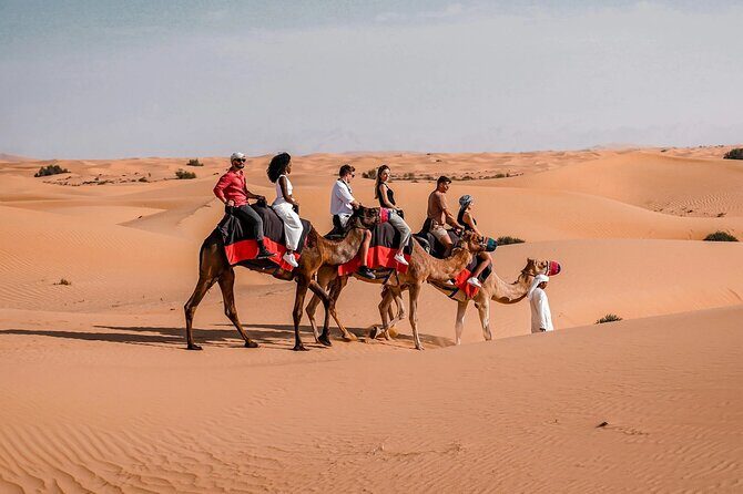 Private Premium Dubai Desert Safari with Camel Ride and Live Show - Exploring the Dubai Desert Safari: A 6-Hour Journey