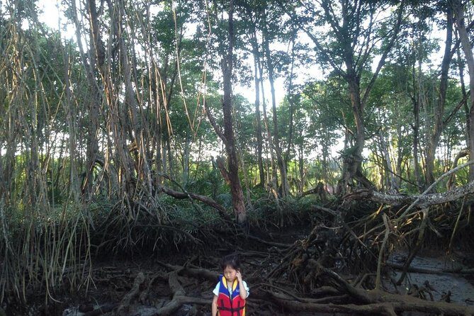Private Proboscis Monkey, Water Village & Bandar by Night Tour - Exploring the Itinerary in Detail
