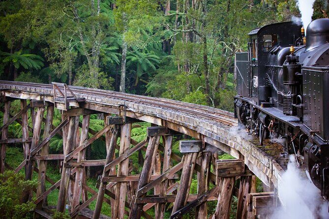 Private Puffing Billy Steam Train and Healesville Sanctuary Tours - An In-Depth Look at the Itinerary