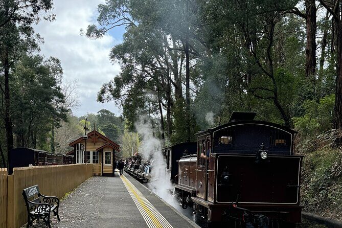 Private Puffing Billy Steam Train and Healesville Sanctuary Tours - Who Will Love This Tour?