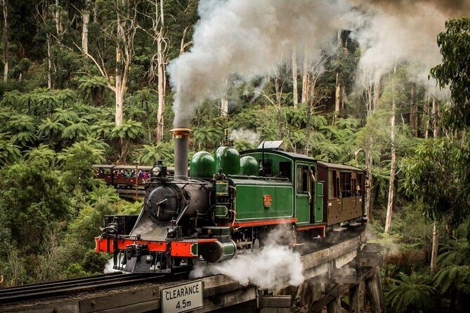Private Puffing Billy Steam Train and Healesville Sanctuary Tours - The Sum Up