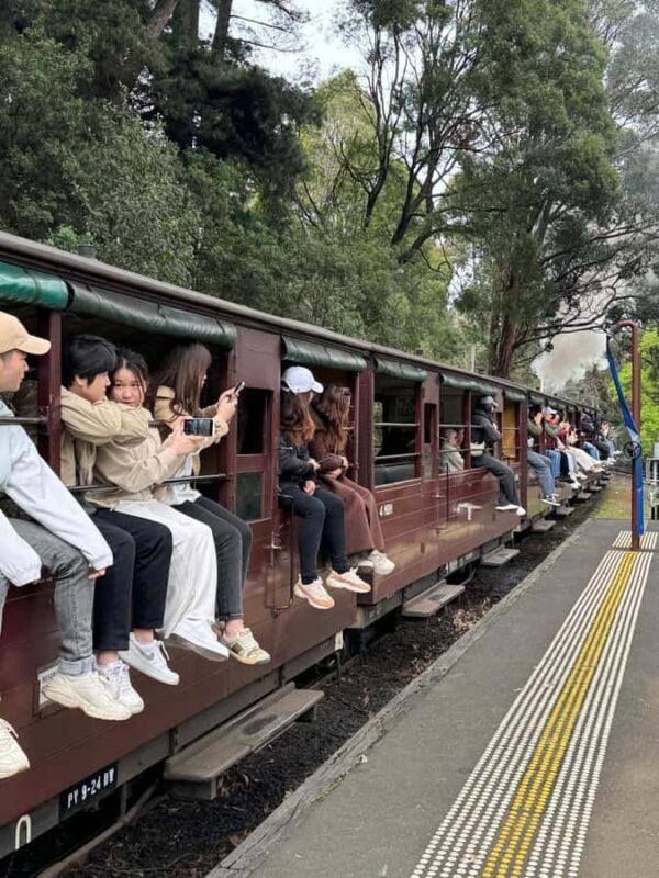Private Puffing Billy Train & Healesville Sanctuary Tours - Key Points