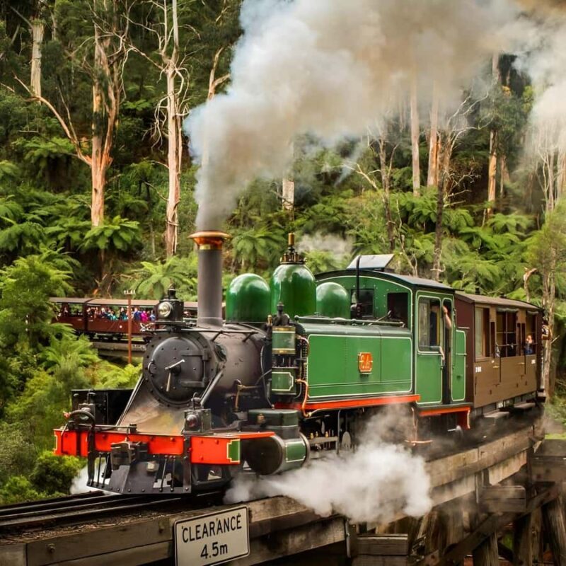 Private Puffing Billy Train & Healesville Sanctuary Tours - A Closer Look at the Itinerary and What You’ll Experience