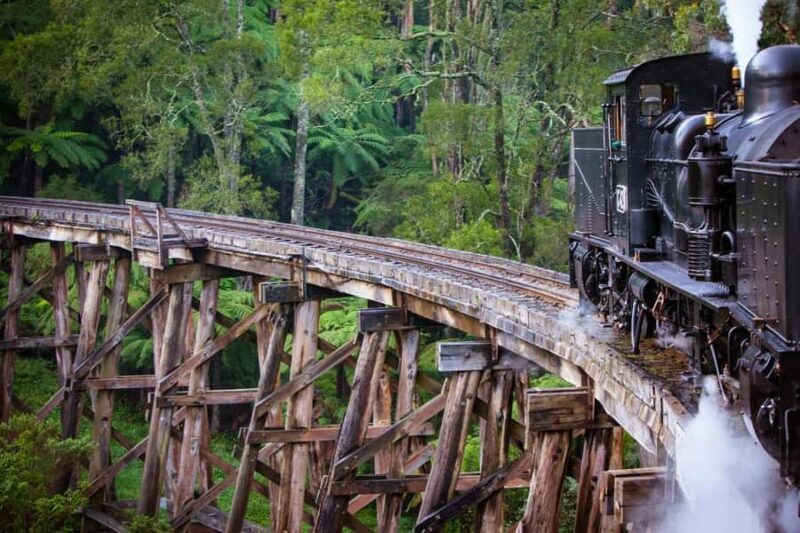 Private Puffing Billy Train & Healesville Sanctuary Tours - Why This Tour Works Well