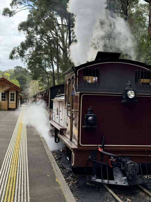 Private Puffing Billy Train & Healesville Sanctuary Tours - Frequently Asked Questions