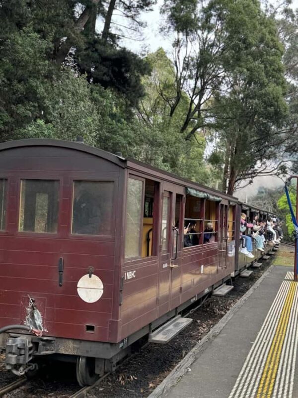 Private Puffing Billy Train & Healesville Sanctuary Tours - Final Thoughts