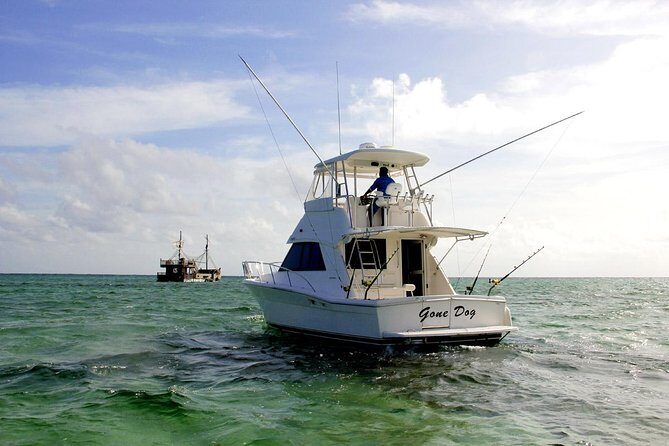 Private Punta Cana Six Hour Fishing Charter - The Sum Up
