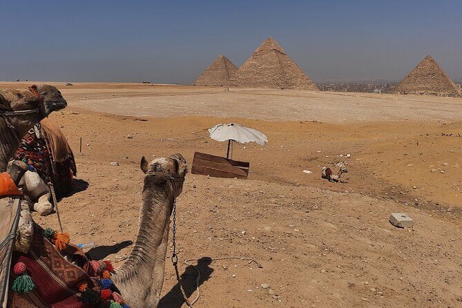 Private Pyramids, Sphinx and Grand Egyptian Museum Tour - The Sum Up