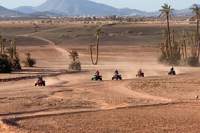 Private quad ride in the desert of the palm grove - The Value of This Experience