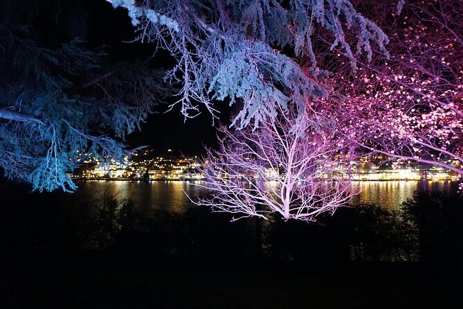 Private Queenstown by Night Skyline and Lakeside Tour - Transportation and Comfort