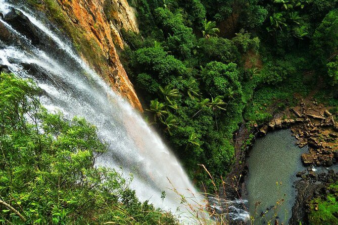 Private Rainforest & Wildlife Tour - Build Your Own Experience - Why Choose This Tour?