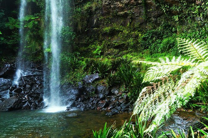 Private Rainforest & Wildlife Tour - Build Your Own Experience - Practical Details and Considerations