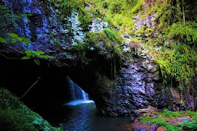 Private Rainforest & Wildlife Tour - Build Your Own Experience - Authentic Encounters & Review Highlights