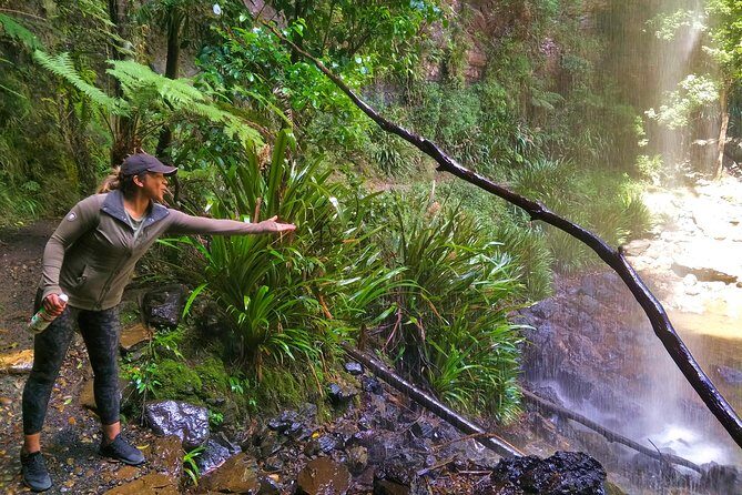 Private Rainforest & Wildlife Tour - Build Your Own Experience - Final Thoughts