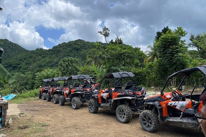 Private Rasta Safari Cultural UTV Village Experience - Key Points