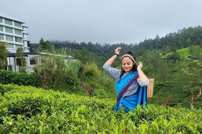 Private Ravana Falls and Nine Arches Bridge Ella Tour from Galle - The Climb to Little Adams Peak