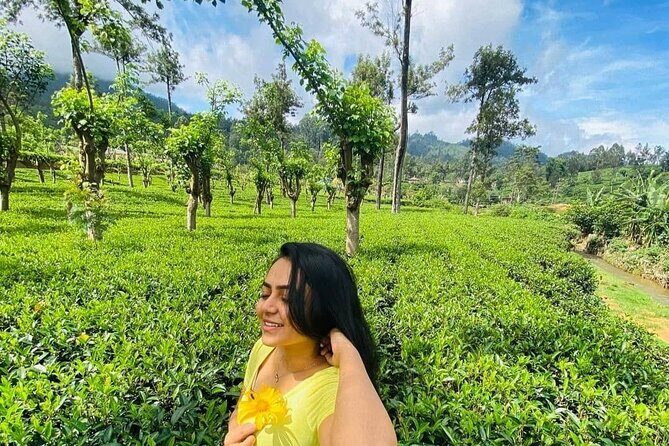 Private Ravana Falls and Nine Arches Bridge Ella Tour from Galle - What Reviewers Say