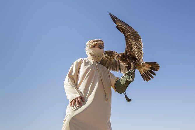 Private Red Dunes Desert Safari , BBQ Dinner and Camel ride - A Deep Dive into the Experience