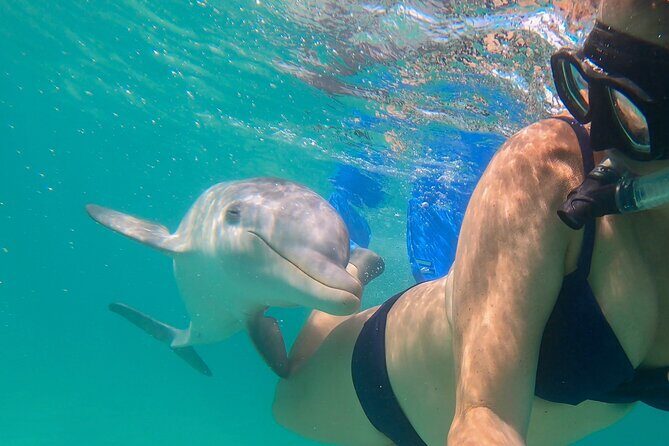 Private Reef, Beach and Sandbar Tour from Providenciales - Stop 2: Half Moon Bay — The Natural Sandbar and Wildlife Hub