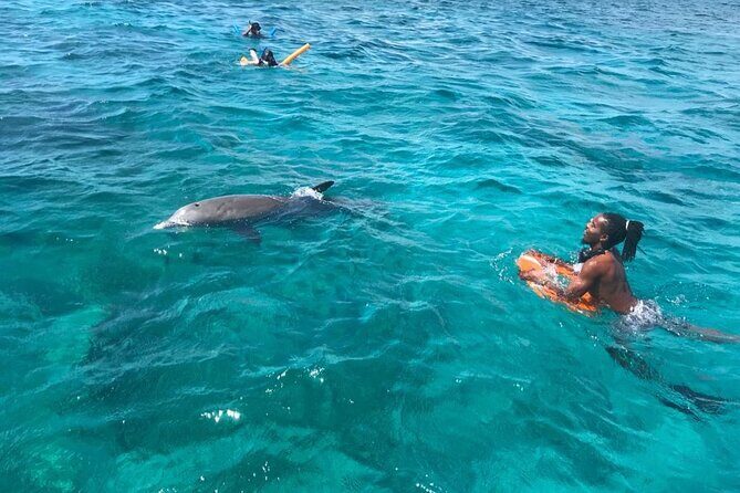 Private Reef, Beach and Sandbar Tour from Providenciales - Optional Adrenaline Stop: La Famille Shipwreck