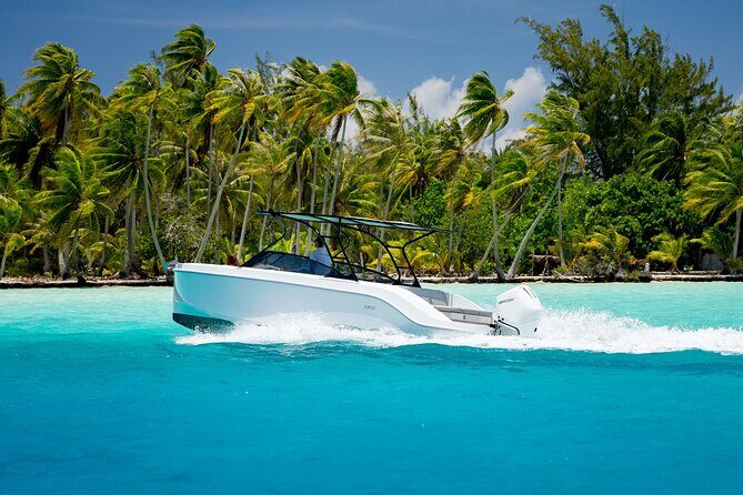 Private Reef Discovery Luxury Motu Lunch Cruise in Bora Bora - A Closer Look at the Private Reef Discovery Luxury Motu Lunch Cruise in Bora Bora