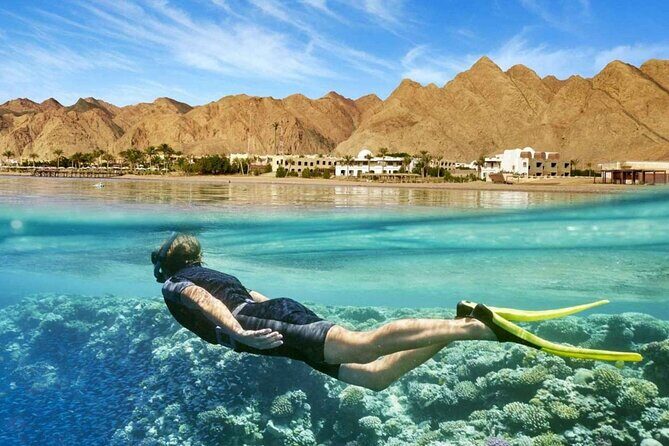Private Relaxing Tour to El Ain El Sokhna Red sea from Cairo - A Closer Look at the Itinerary