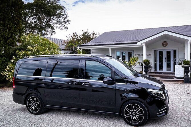 Private Return Luxury Transfers Queenstown to Gibbston Vineyard - Who Will Get the Most from This Experience?