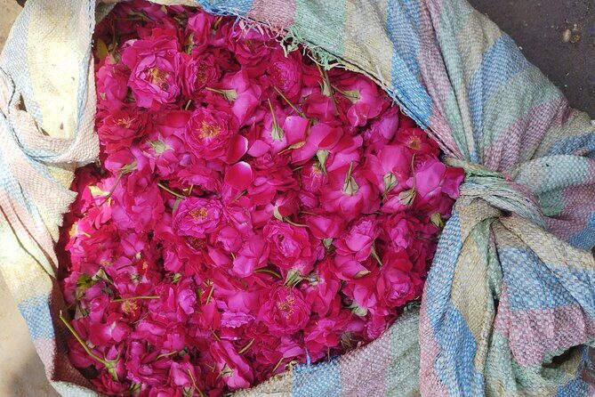 Private Rickshaw Tour of Old Delhi Heritage with Food Tasting - Why Choose This Tour?