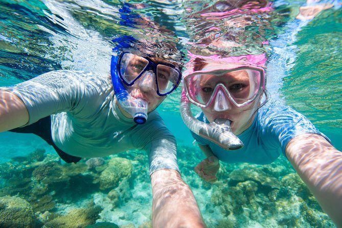 Private Rincon Snorkeling Adventure - Detailed Itinerary Breakdown