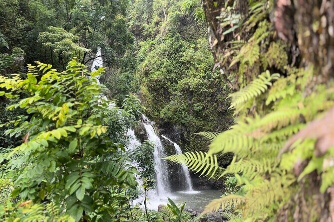 Private Road to Hana Maui Open-Air Jeep Tour - Practical Tips for Booking and Enjoying
